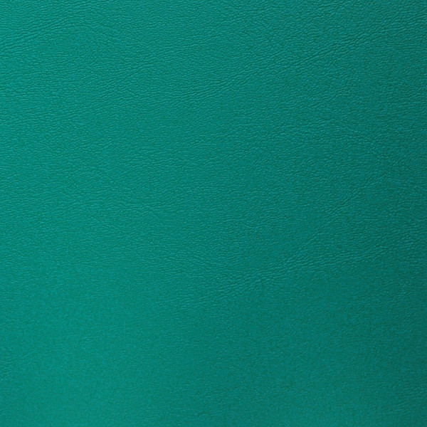 Seaquest - PSQ-008 - Emerald   (D)